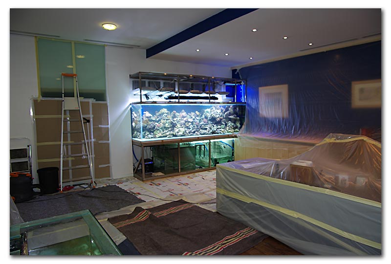 L'aquarium de trois mille litres enfin en place