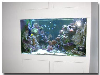 aquarium-mural