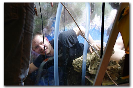 Johan poisson d'aquarium vide