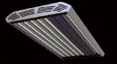 Matrix plus giesemann