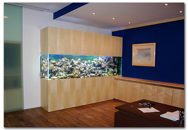 Le meuble de l'aquarium est en Sycomore et s'intégre avec le reste du mobilier