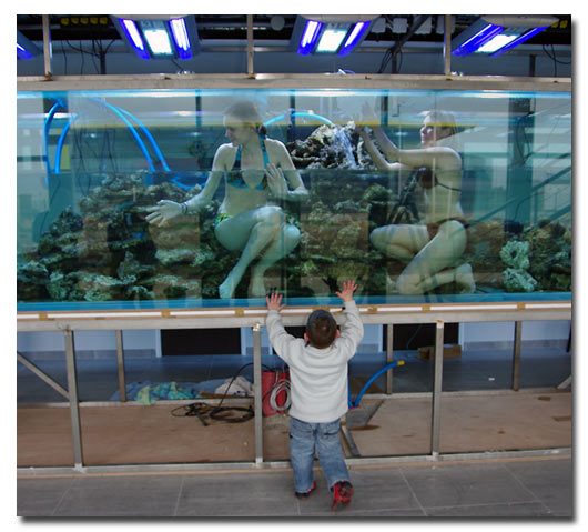jeunes enfant en admiration devant les poissons de cet aquarium