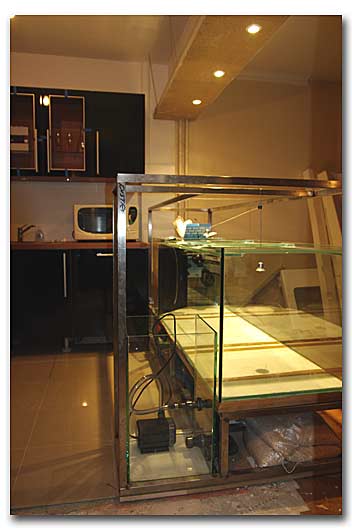 integrer un aquarium bar dans sa cuisine