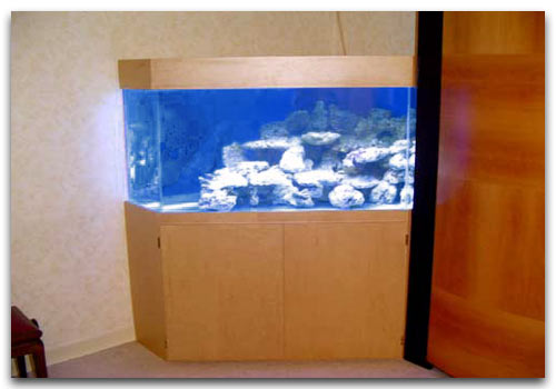 L'aquarium de Frodon