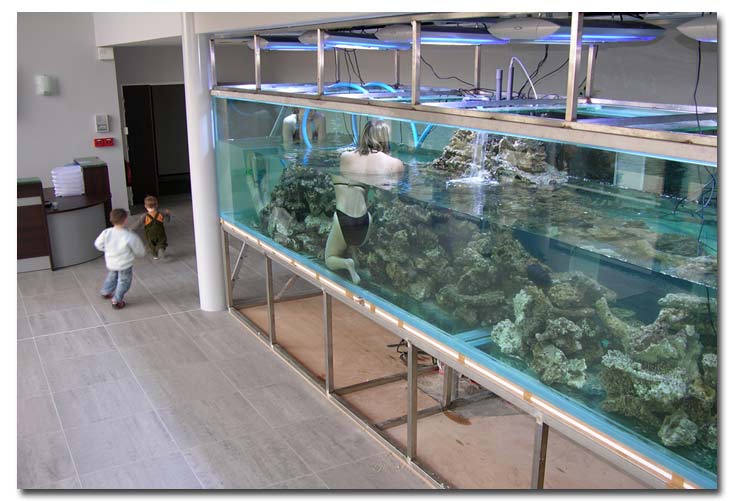 aquarium de bain
