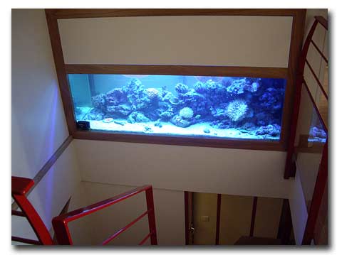 Un aquarium entre deux étages dans un escalier