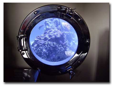 La vision latérale d'un aquarium via un hublot