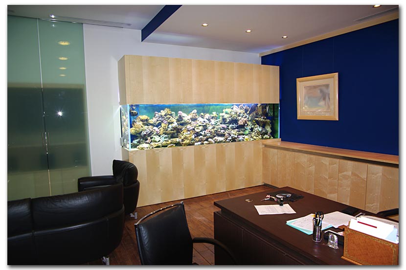 aquarium de 3 tonnes d'eau dans un bureau Parisien