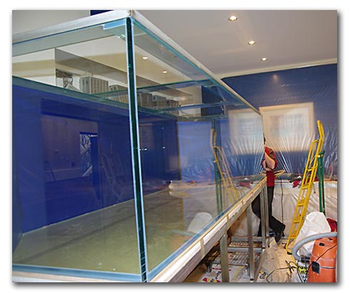 Bien sur les faces de cet aquarium sont en verre extra-blanc!