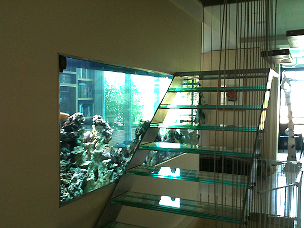 fabrication d'aquarium