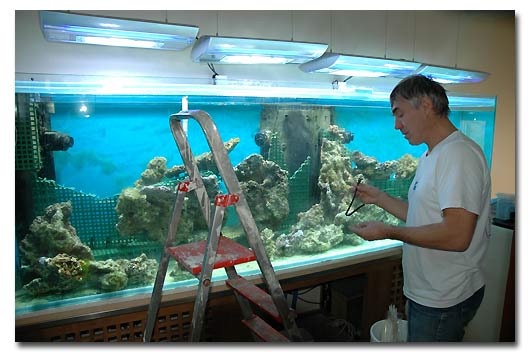 réalisation du support des pierres vivantes d'aquarium