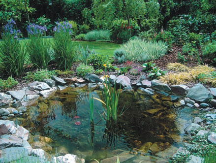 Bassin de jardin