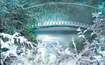 le bassin en hiver