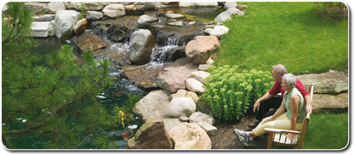 un bassin tranquille par Tetra