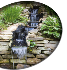 les effets oxygénants d'une cascade pour votre bassin