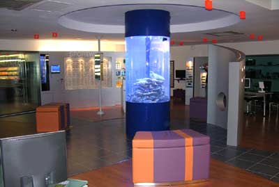 aquarium cylindrique