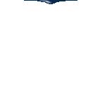 l'eau pour l'aquarium marin