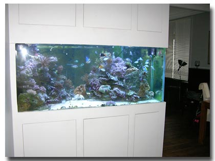 habillage haut et bas de l'aquarium