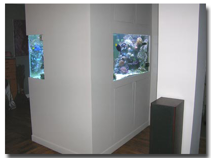 aquarium avec découpe arriere