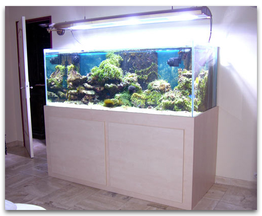 un aquarium et son meuble