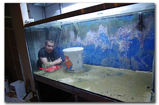 Dans l'aquarium vine ne survit que les poissons d'eau trouble!