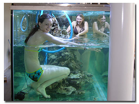 Chez Abri Sous Roche il y a aussi de grand moments de franche rigolade, mais c'est plus rarement qu'ils se produise au sein même de l'aquarium