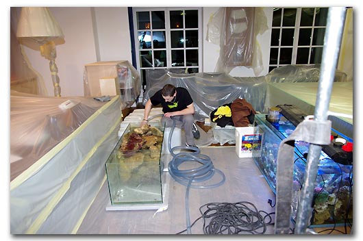 Remplissage des aquariums provisoires
