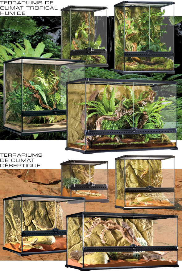 Terrarium